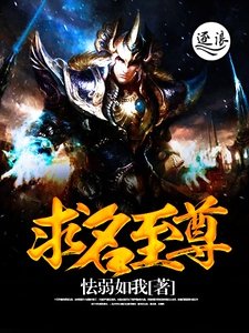 《求名至尊》