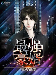 《最强豪婿.》