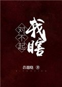 《对不起,我瞎》
