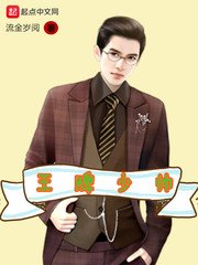 《王牌少帅》