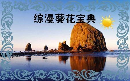 《葵花宝典 》