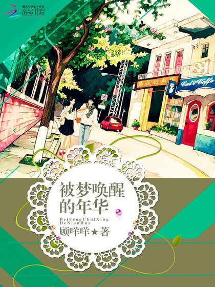 《被梦唤醒的年华》