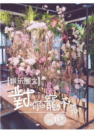 《娛樂圈之對你寵不完 》