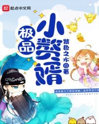 《極品小贅婿》