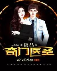 《极品奇门医圣》