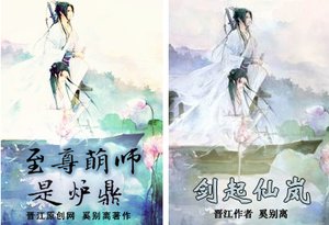 《至尊萌师是炉鼎/剑起仙澜》