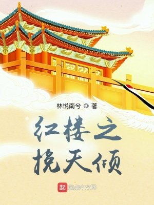 《红楼之挽天倾》