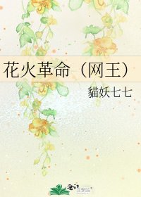 《花火革命(网王)》