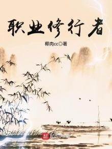《职业修行者》