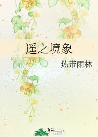 《遥之境象》
