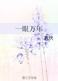 《一眼万年》
