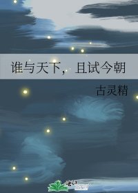 《谁与天下,且试今朝》