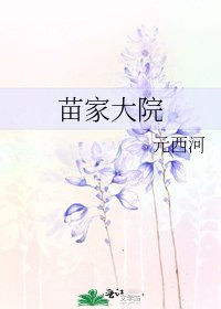 《苗家大院》