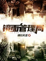 《镜面管理局》