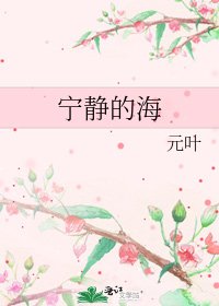 《宁静的海》