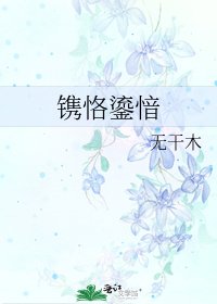 《鐫恪鎏愔》