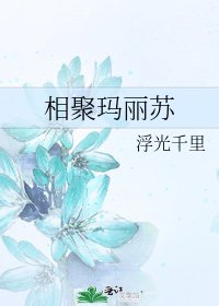 《相聚玛丽苏》