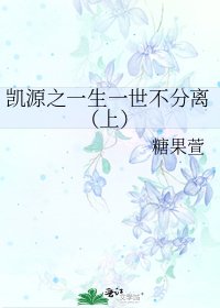 《凯源之一生一世不分离(上)》
