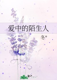 《爱中的陌生人》