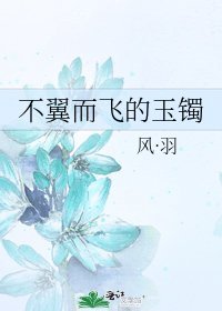 《不翼而飞的玉镯》