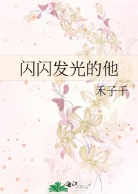 《闪闪发光的他》