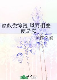 《家教微综漫 风雨相叠便是岚》