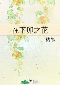 《在下卯之花》