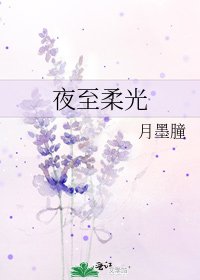 《夜至柔光》