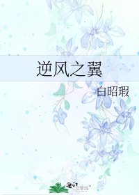 《逆風之翼》