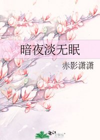 《暗夜淡无眠》