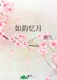 《如韵忆月》