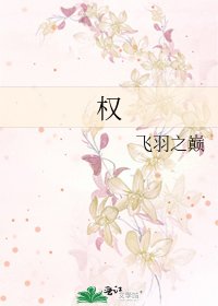 《权》