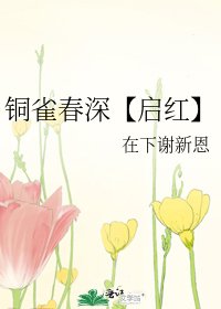 《铜雀春深【启红】》