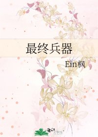 《最终兵器》