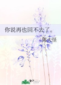 《你说再也回不去了。》