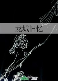 《龙城旧忆》