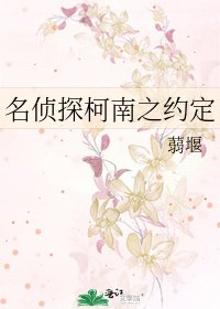《名侦探柯南之约定》