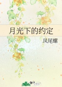 《月光下的约定》