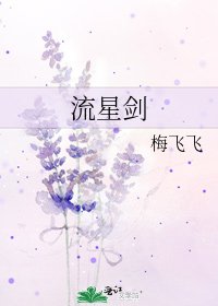 《流星剑》