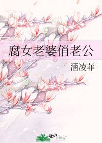 《腐女老婆俏老公》