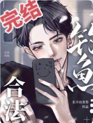 《合法钓鱼》