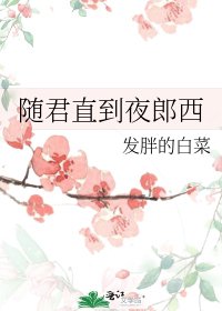 《随君直到夜郎西》