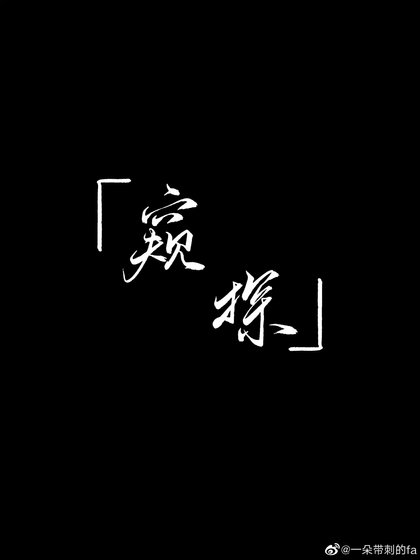 《窥探》