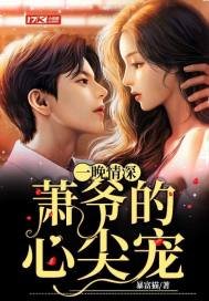 《一晚情深:萧爷的心尖宠》