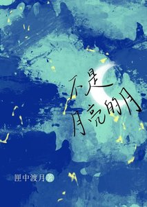 《不是月亮的月》