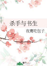 《杀手与书生》