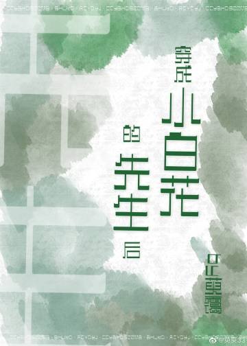 《穿成小白花的先生后》
