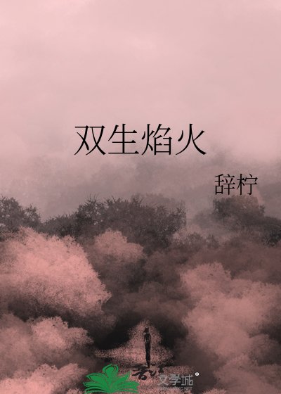 《双生焰火》