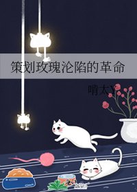 《策划玫瑰沦陷的革命》