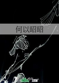 《何以昭昭》